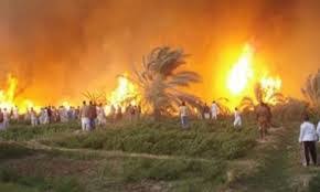 صورة “البيئة” تهيب بالمزارعين بعدم حرق المخلفات الزراعية وتخصص سخط ساخن لتلقى الشكاوى