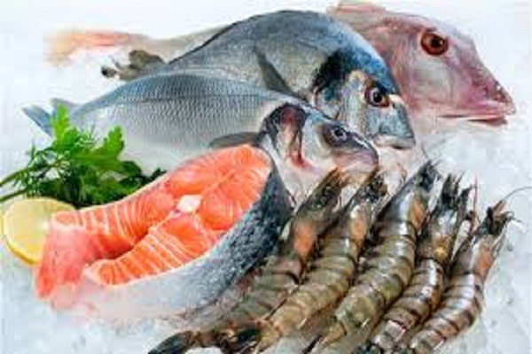 صورة اسعار السمك فى سوق العبور اليوم الاربعاء 8 يوليو 2020