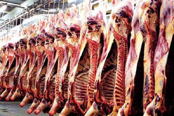 صورة “الزراعة”  : حملات مفاجئة بأسواق ومنافذ بيع اللحوم والأسماك لضبط المخالفين
