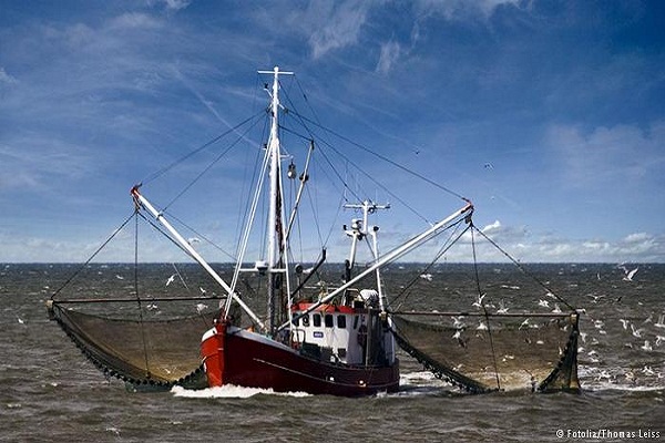 صورة المطالبة بحظر صيد الأسماك بـ”الكهرباء ” في دول الاتحاد الأوروبي
