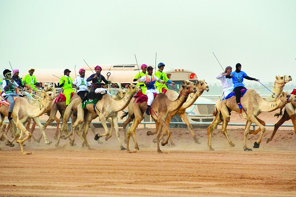 صورة “السعودية” ..غداً… افتتاح مهرجان الجنادرية “32” وسباق الهجن السنوي  ” صور “