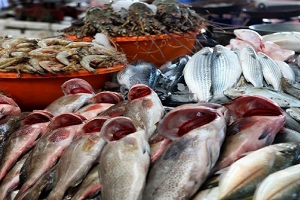 صورة إستقرار أسعار الأسماك بسوق العبور اليوم