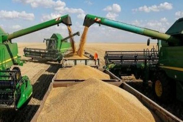 صورة تقفز لأعلى مستوى منذ 7 سنوات .. عقود القمح الأوربية تتأثر بالضريبة الروسية على الصادرات