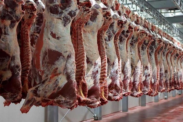 صورة نقيب الفلاحين:  ارتفاع في اسعار اللحوم الحمراء خلال الفترة المقبلة.. لهذه الأسباب