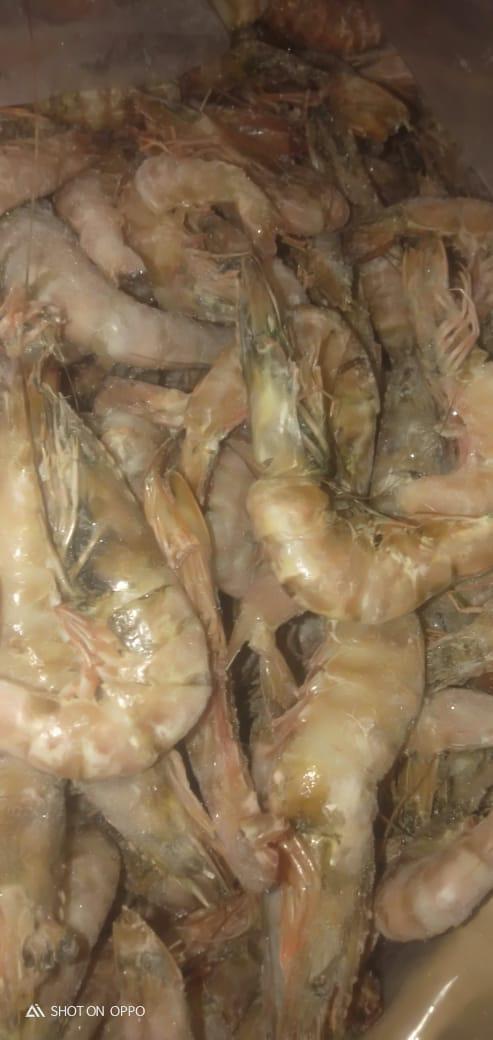 صورة بالصور.. ضبط دواجن ولحوم واسماك غير صالحة للاستهلاك فى 17 محافظة