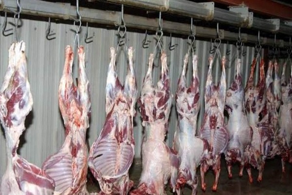 صورة حملات لمتابعة اسواق اللحوم وتشديد الفحص والرقابة على المنافذ الحدودية