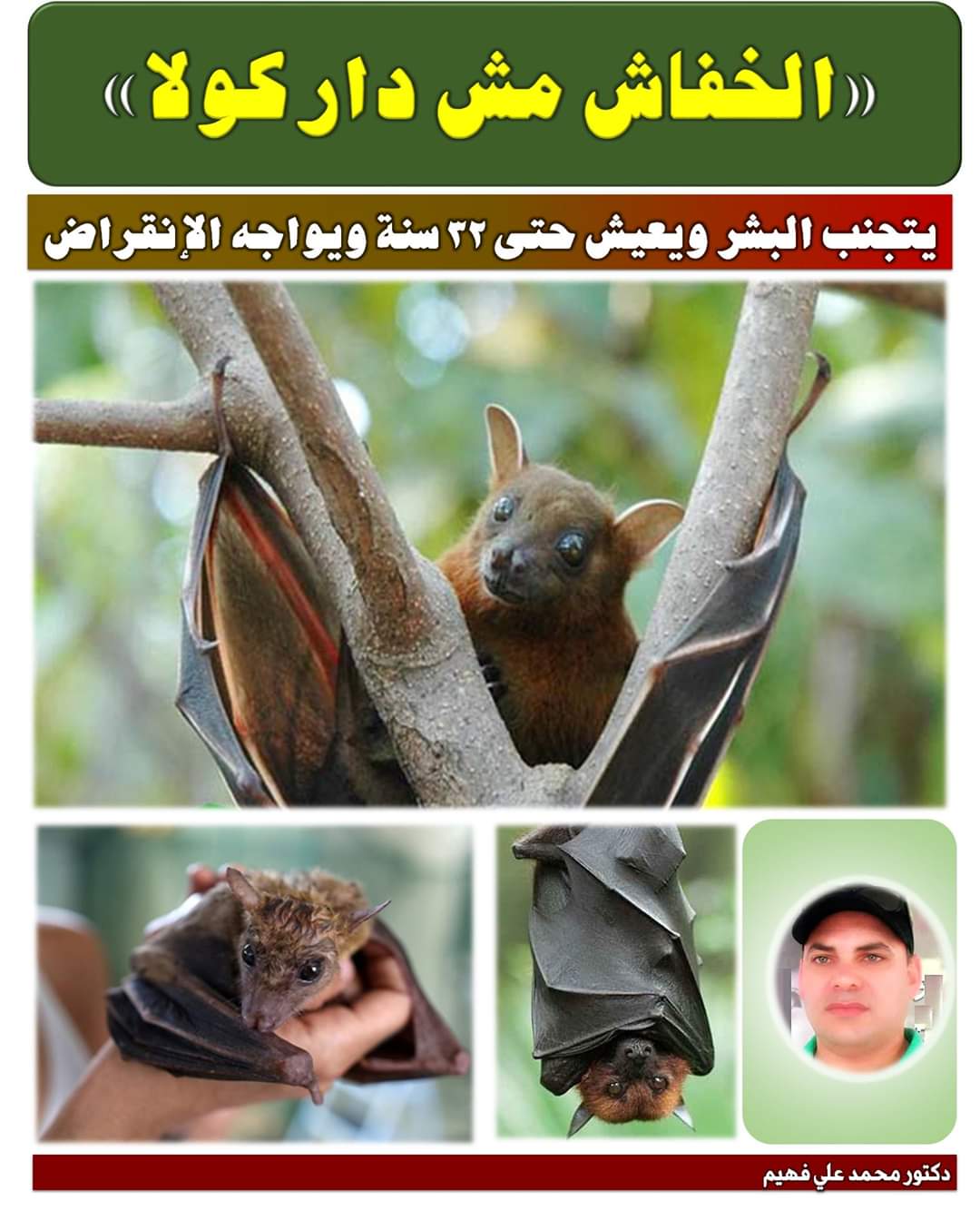 صورة الدكتور محمد فهيم يكتب : لماذا اللوم على الخفافيش في نشر فيروس كورونا ؟.. فالبشر هم السبب !!