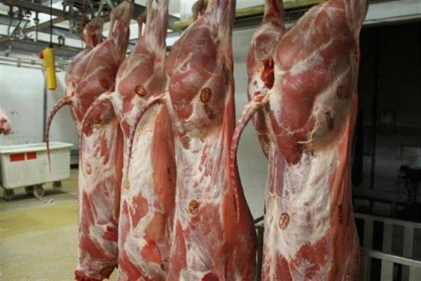 صورة أسعار اللحوم الحمراء اليوم ااجمعة 26 فبراير 2021 .. وسعر كيلو القائم فى العجول