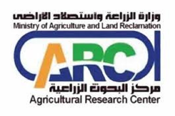 صورة “البحوث الزراعية” يفوز بجائزة ذهبية في معرض القاهرة الدولي للابتكار