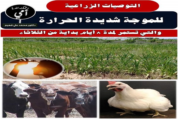 صورة رسائل الدكتور محمد فهيم للمزراعين .. موجة طويلة من الحرارة الشديدة تضرب البلاد..كيف نتجنبها ؟