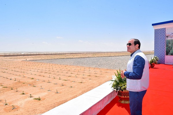 صورة الرئيس السيسى  يوجه بالتوسع في المشروعات الزراعية  لمردودها  الغذائي والصحي والاقتصادي