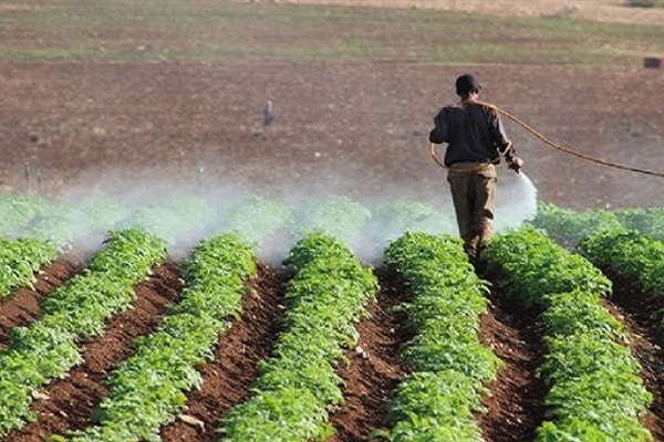 صورة “الزراعة” و “يونيدو” تطلقان حملة توعوية مصورة لتعزيز التداول الآمن للمبيدات