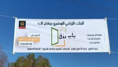 صورة البنك الزراعي المصري يفتح “باب رزق” لتمويل المشروعات متناهية الصغر في الريف