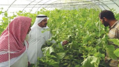 صورة السعودية .. صندوق التنمية الزراعية يوقع اتفاقيتي تعاون للإسهام بتحقيق الإستراتيجية الزراعية