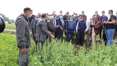 صورة الفيوم .. وزير الزراعة يتفقد حقول القمح ومركز لتجميع الالبان .. صور