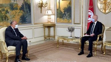 صورة وزير الخارجية يسلم رسالة من الرئيس السيسى للرئيس التونسى حول تطورات ملف سد النهضة