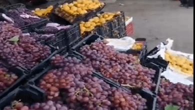 صورة كيلو الكانتلوب بـ 2 جنيه .. أسعار الفاكهة والخضروات بسوق اكتوبر