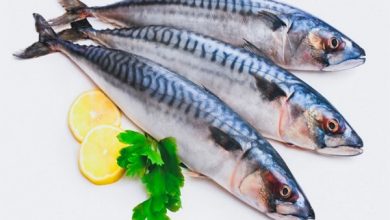 صورة أسعار الأسماك اليوم الاربعاء  5 يناير  2022 بسوق العبور