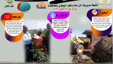 صورة انفوجراف وفيديو| “الزراعة في كل مصر” .. تعرف على أنشطة مديريات الزراعة والطب البيطري