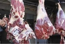 صورة سعر الكندوز ..أسعار اللحوم الحمراء اليوم الخميس 1 ديسمبر  2022