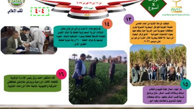 صورة بالانفوجراف والفيديو| “الزراعة في اسبوع” نشرة الحصاد رقم 78 لأنشطة الوزارة