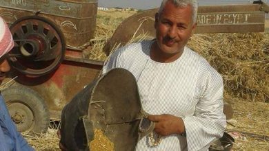 صورة نقيب الفلاحين يشيد بتكليفات الرئيس السيسي للحكومه بدعم مزارعي القمح