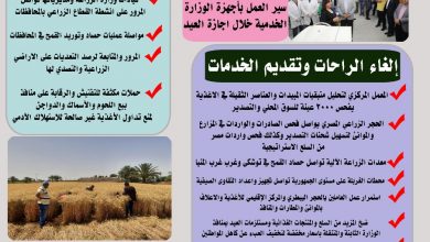 صورة انفوجراف| “الزراعة”X العيد..  اهم الأنشطة والاجراءات التي اتخذتها وزارة الزراعة  خلال اجازة العيد