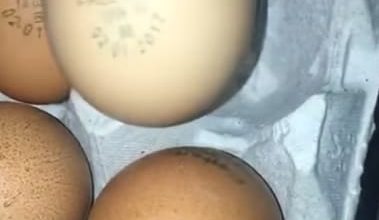 صورة المنوفي: بيض المائدة يواصل ارتفاعاته الجنونية والطبق يسجل 75 و77 جنيها
