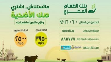 صورة بنك الطعام المصري يستعد لتوزيع لحوم الأضاحي على مليون أسرة علي مستوي الجمهورية