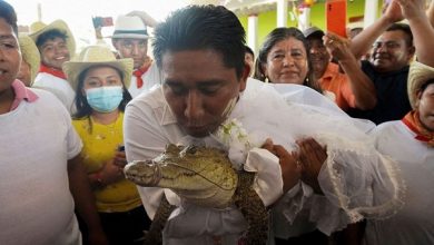 صورة عجبت لك يا زمن .. عمدة مدينة مكسيكية يتزوج من تمساح كان يرتدي فستان زفاف أبيض ..صور وفيديو !!