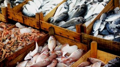 صورة أسعار الأسماك اليوم السبت 21 يناير 2023 بسوق العبور