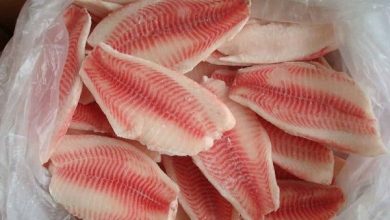 صورة أسعار الأسماك اليوم السبت 17 ديسمبر  2022 بسوق العبور ..الفيليه البلطى بكام