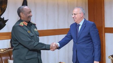 صورة وزير الرى : مصر حريصة على تعزيز علاقات التعاون مع السودان