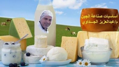 صورة الدكتور عبد العزيز الجداوي يكتب : اساسيات صناعة الجبن