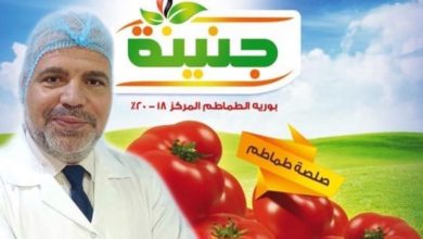 صورة الدكتور عبد العزيز الجداوي يكتب : تصنيع صلصة الطماطم