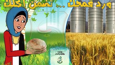 صورة المركزية للارشاد تتابع حصاد القمح وتستعد للمحاصيل الصيفية وتنظم ندوات إرشادية